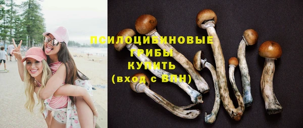 каннабис Арсеньев