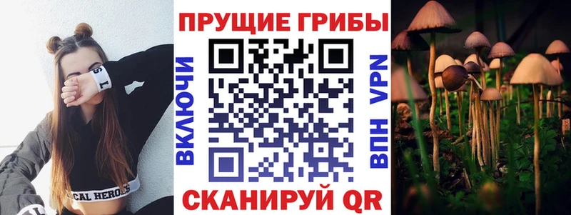 Псилоцибиновые грибы Psilocybe  цена наркотик  Дедовск 