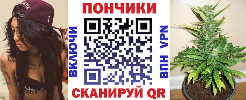 Бошки Шишки THC 21%  закладка  Дедовск 